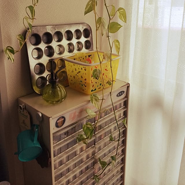 sakuraさんの実例写真