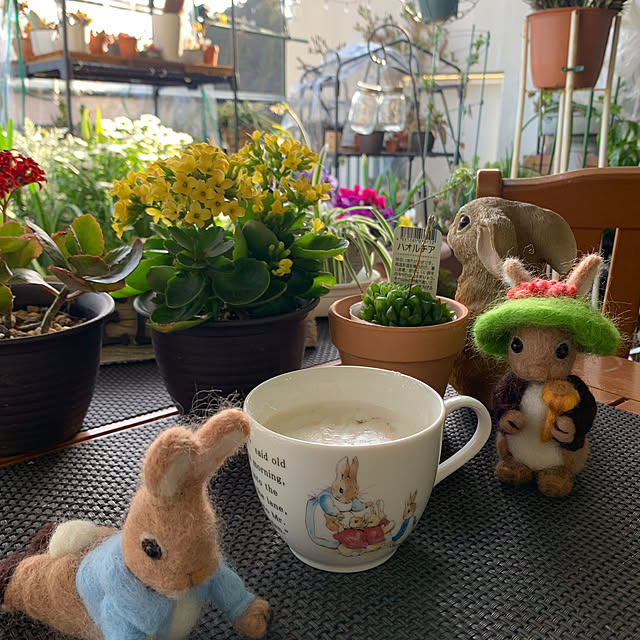 Aqettyさんの実例写真