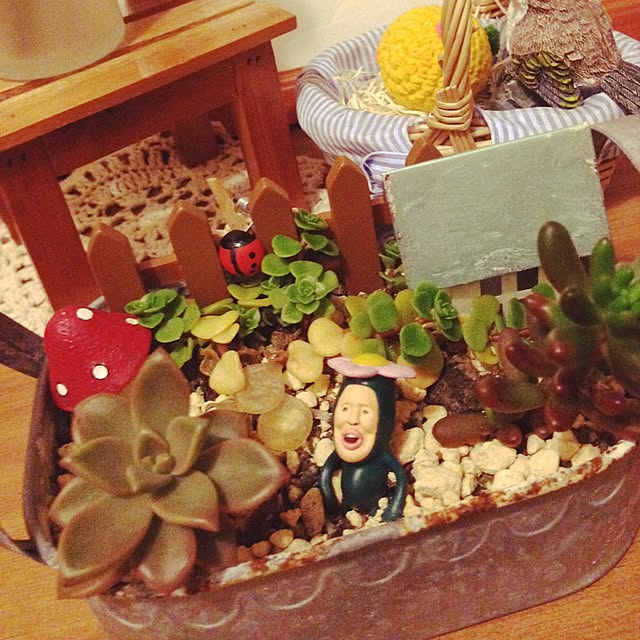 savaさんの実例写真