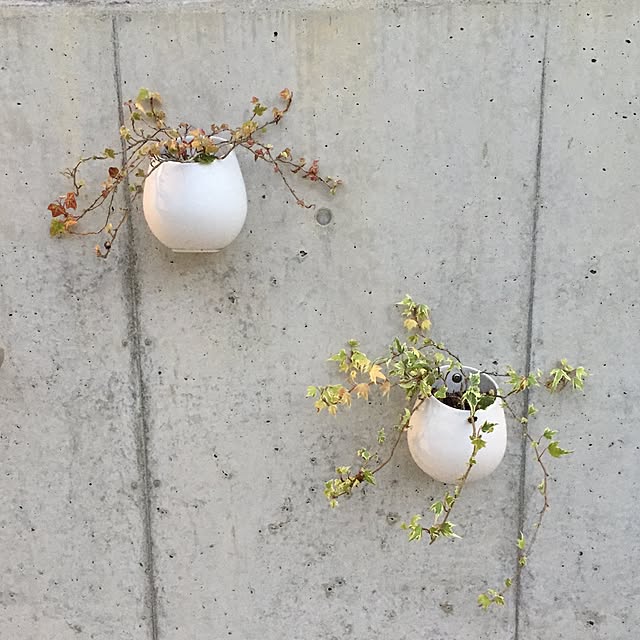 makaronさんの実例写真
