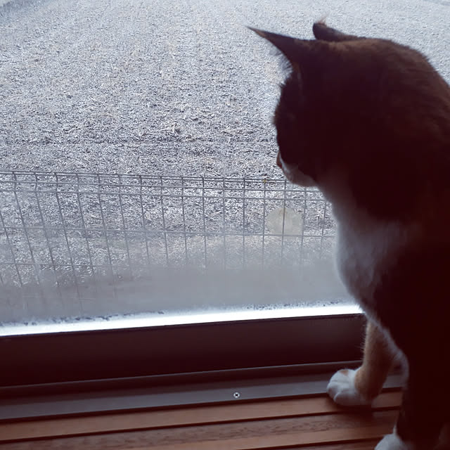 aiさんの実例写真