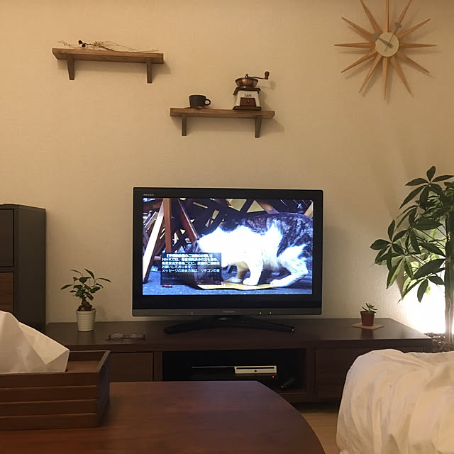 daichanさんの実例写真