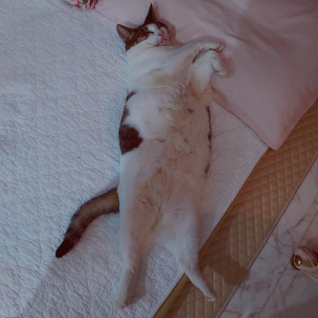 machikomamaさんの実例写真