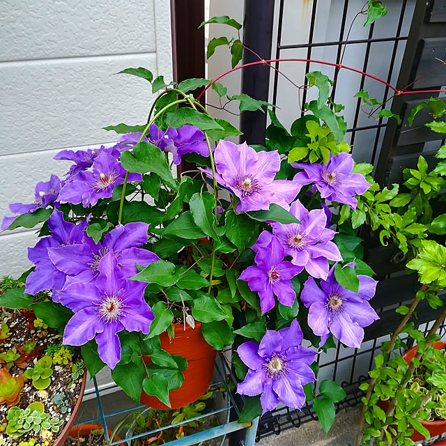 VERANDARJUNさんの実例写真