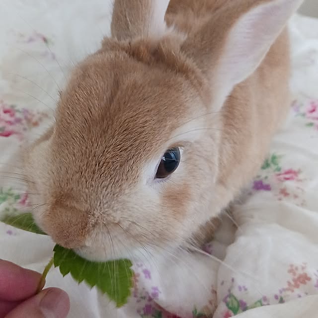 aiさんの部屋