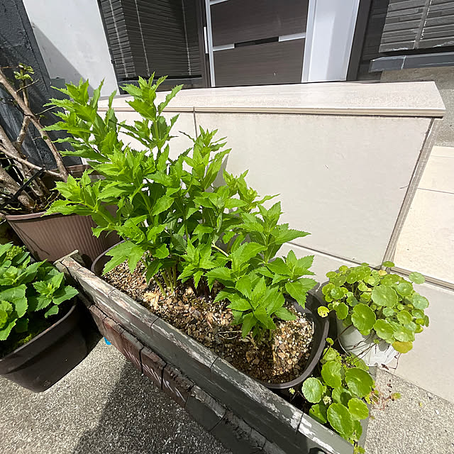 Vakiさんの実例写真