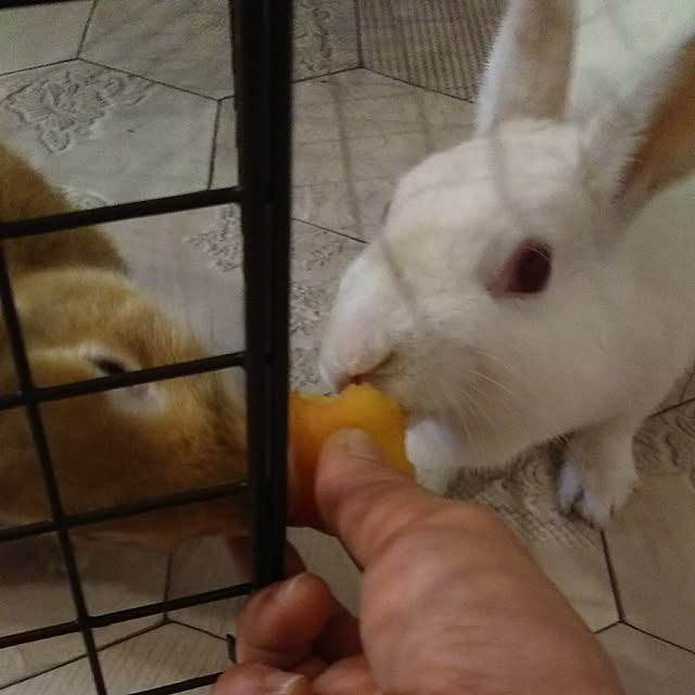 yuppiさんの実例写真