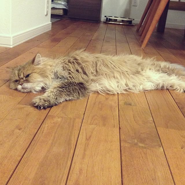 millomilloさんの実例写真