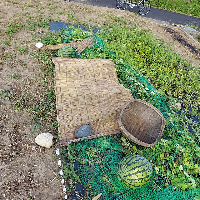 akemiさんの実例写真