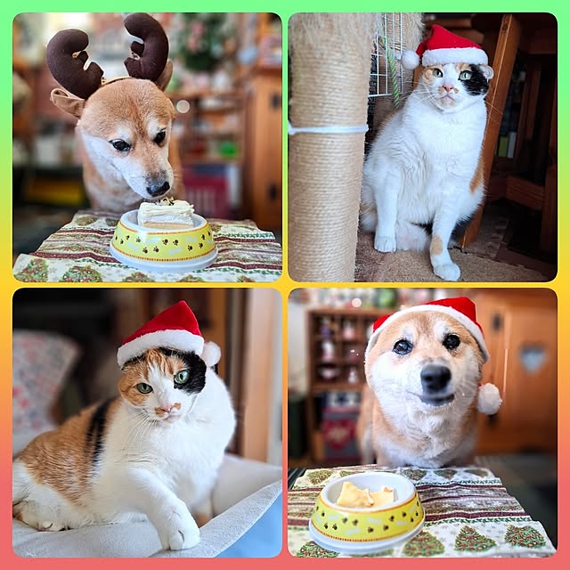 nanaさんの実例写真
