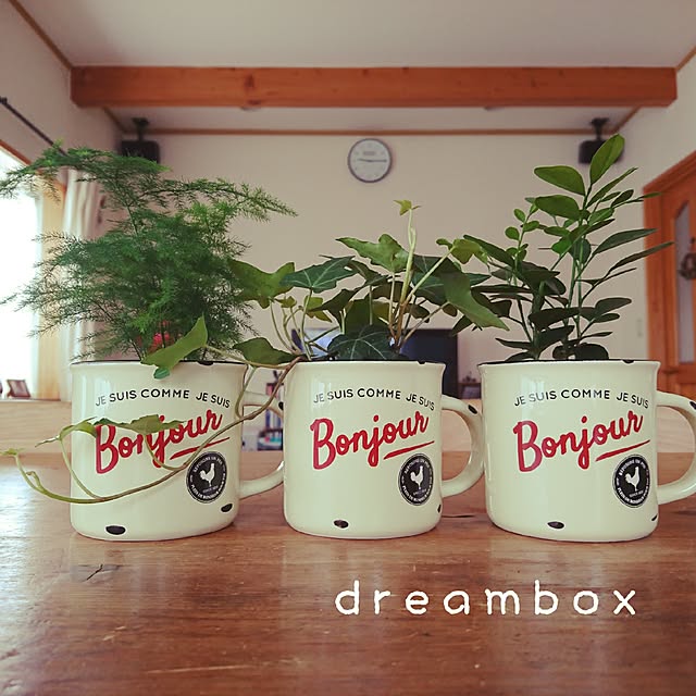 dreamboxさんの実例写真