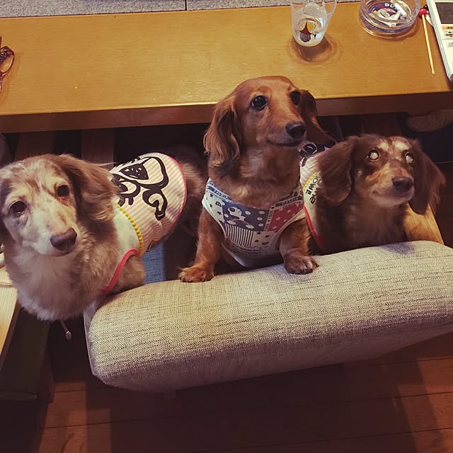 Eikoさんの実例写真