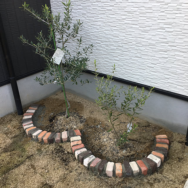 a-sumireさんの実例写真