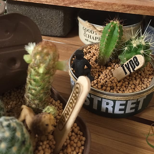 実例写真