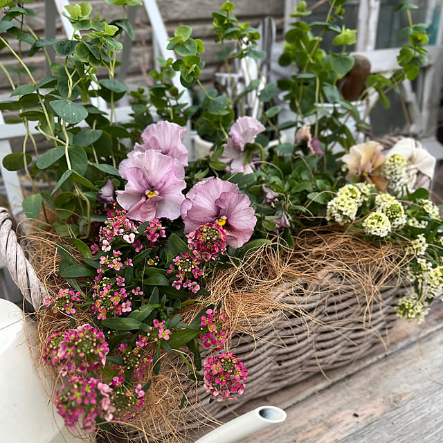 felicityさんの実例写真