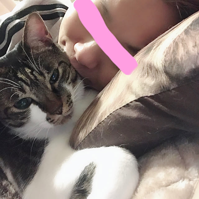 Satokoさんの実例写真