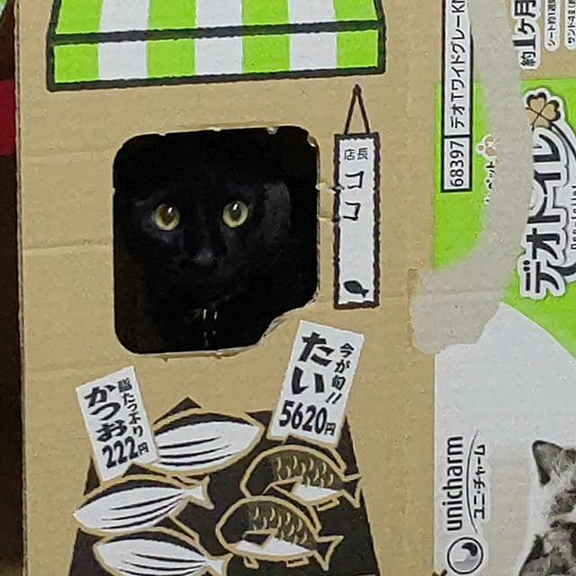 chie-rさんの実例写真