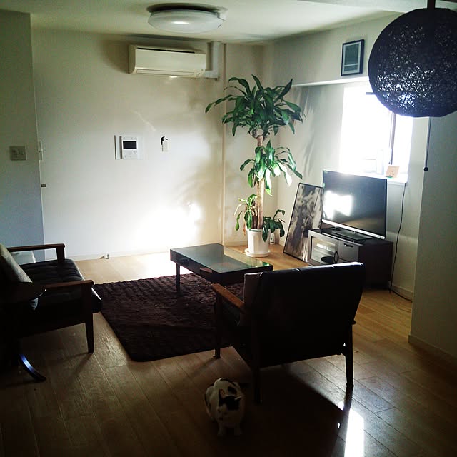 noguchiken0102さんの実例写真