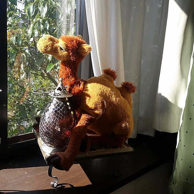 Granadillaさんの実例写真