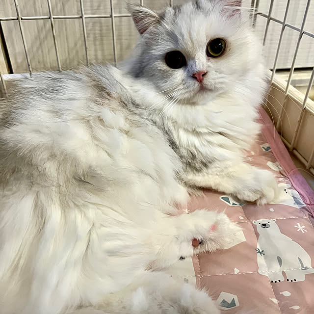 AYUKOさんの部屋