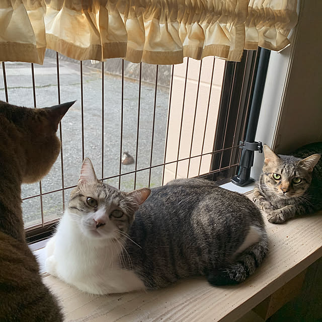 rioさんの実例写真