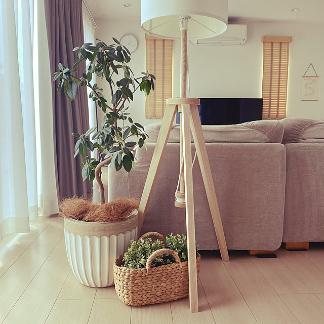 Aoiさんの実例写真