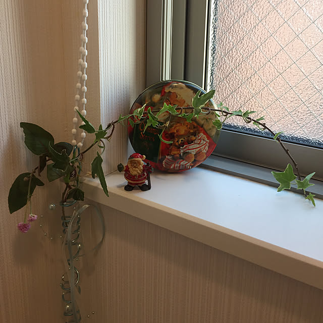 fu-mufumuさんの実例写真
