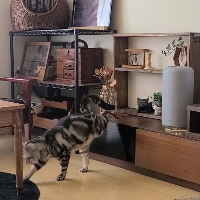 lovepeaceさんの部屋