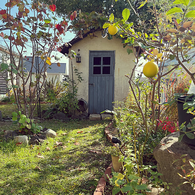 naonaoさんの実例写真