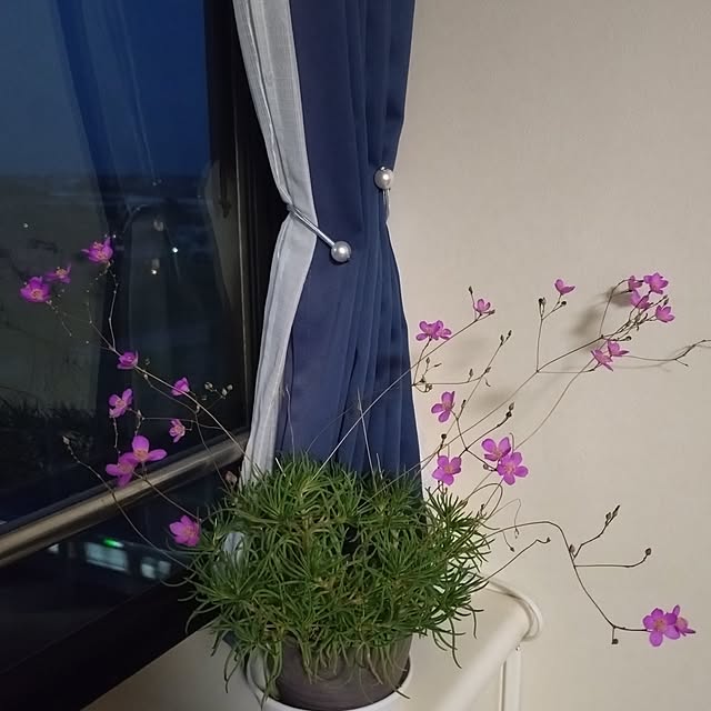 NOAHさんの部屋
