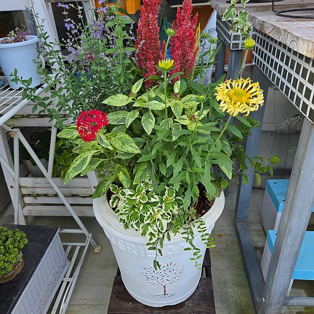 nonbiri_house_さんの部屋