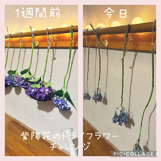 izuさんの実例写真