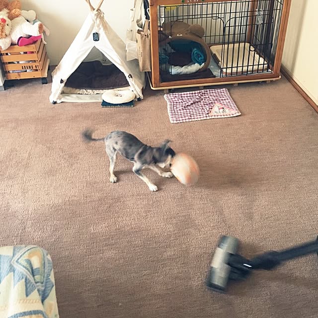 satominさんの実例写真