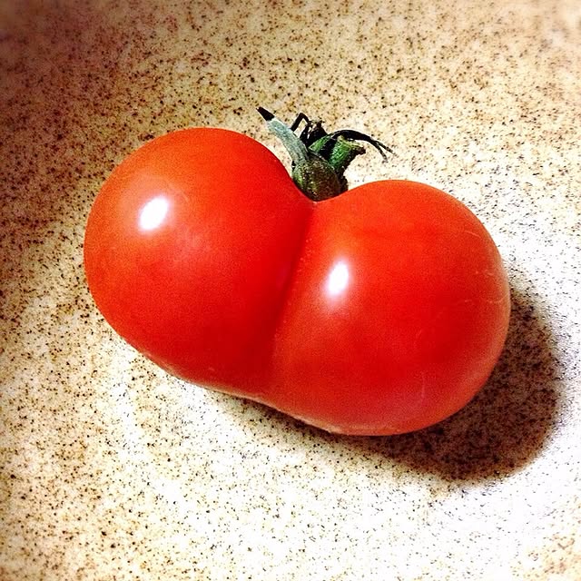 ohanaさんの実例写真