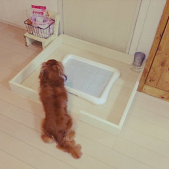 TOMOさんの実例写真