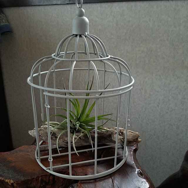 midoriさんの実例写真