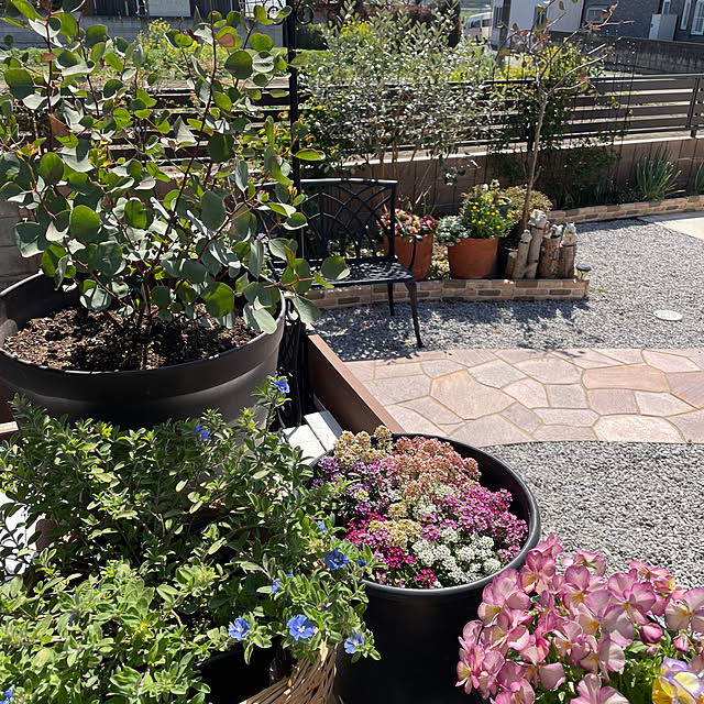 ronronさんの部屋