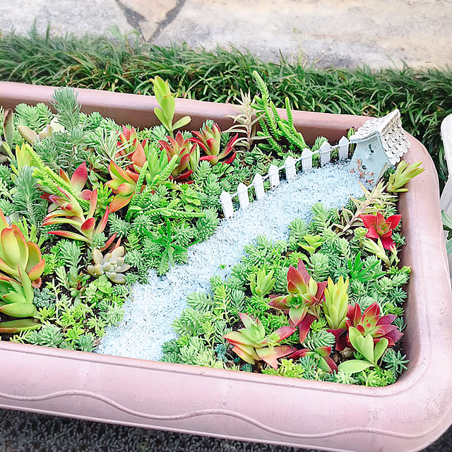 portulacaさんの実例写真