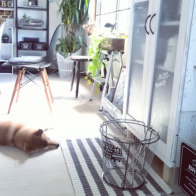 kさんの実例写真