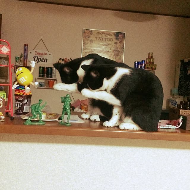 mari23さんの実例写真