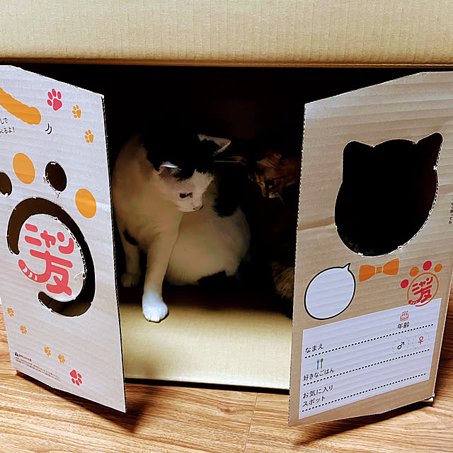 kikurinさんの部屋