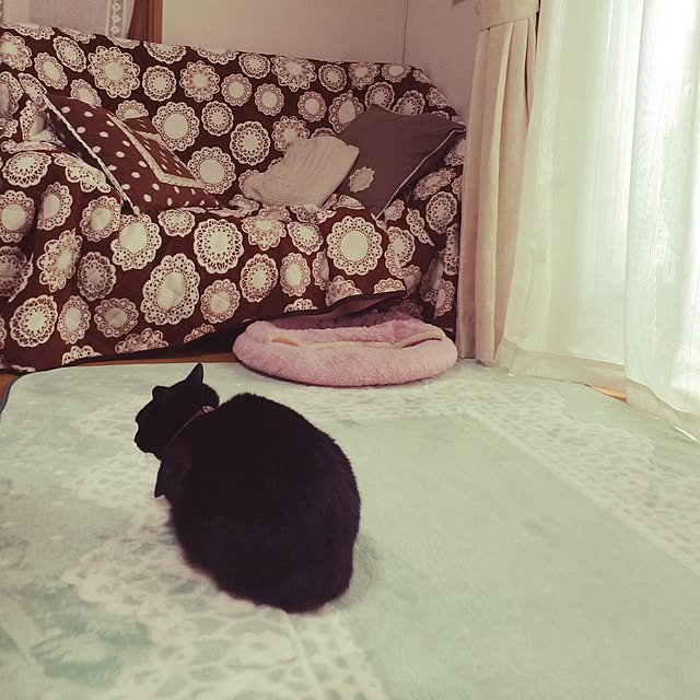 ARASHIさんの実例写真