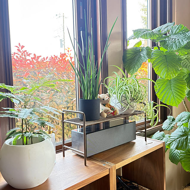 umomさんの実例写真