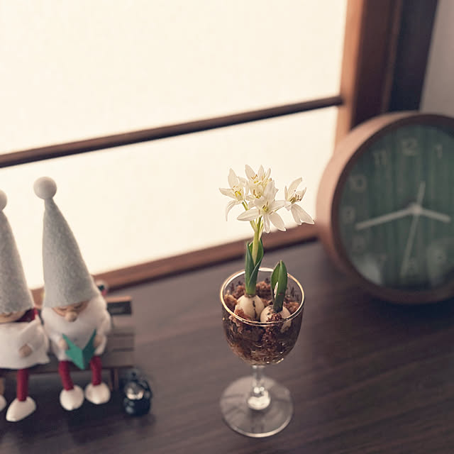 hngbo015さんの部屋