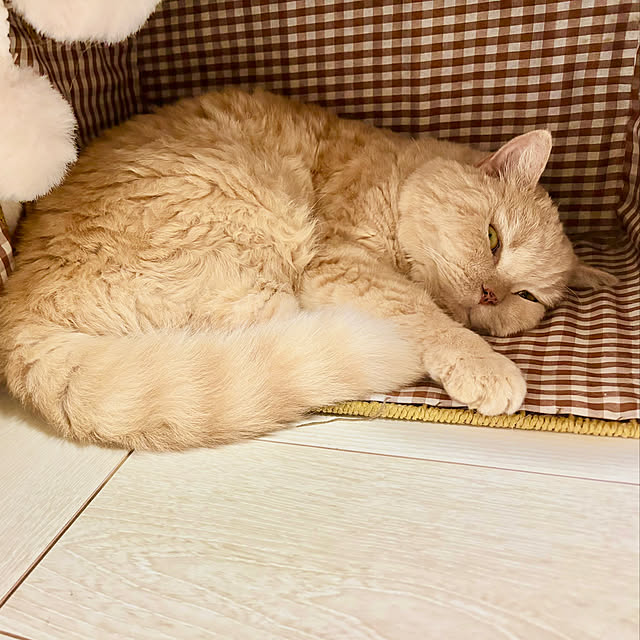 naokoさんの部屋