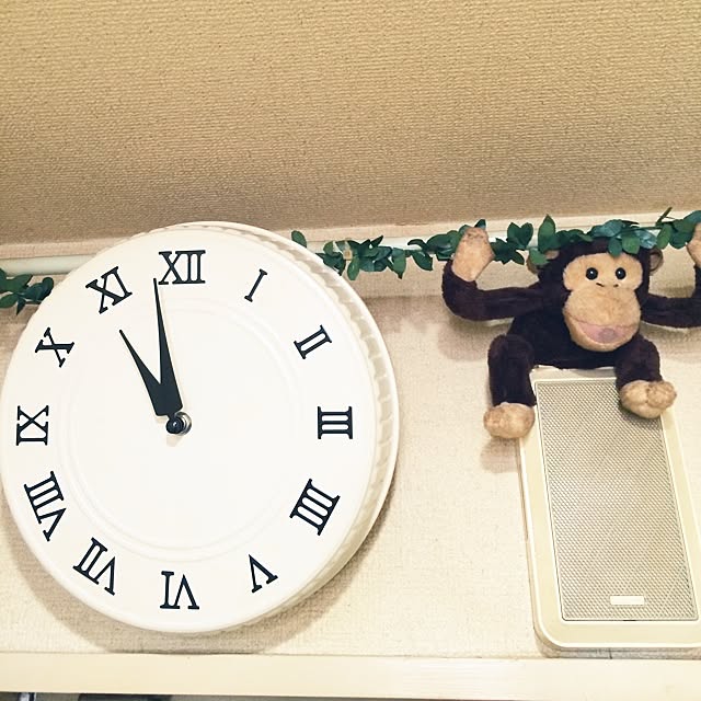 momoさんの実例写真