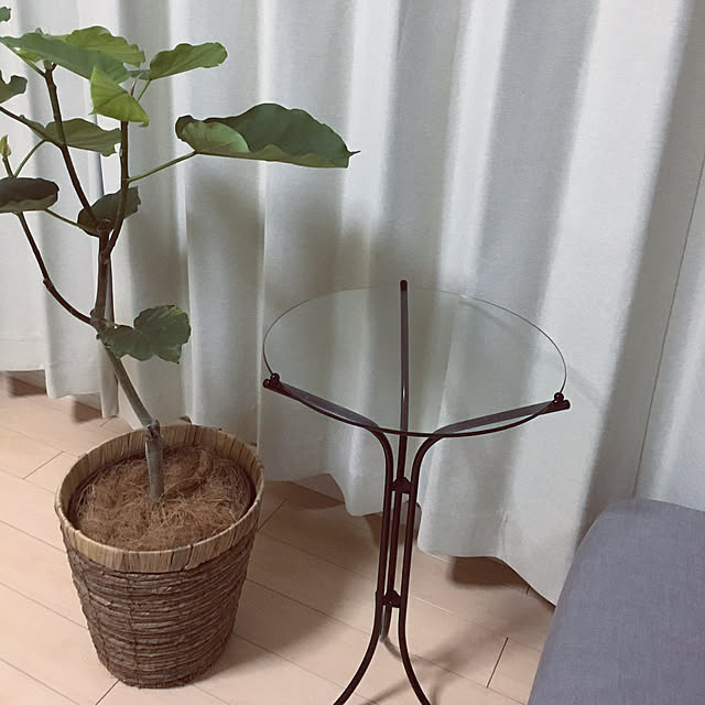 riiさんの実例写真
