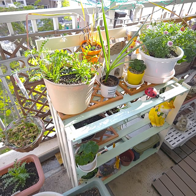 mariaさんの部屋