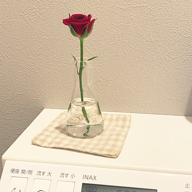 Mikiさんの実例写真