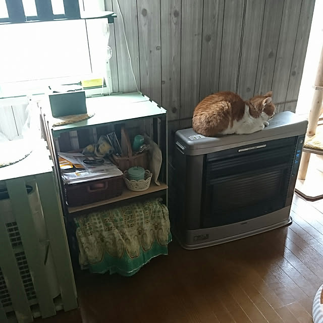 SHIHOさんの実例写真